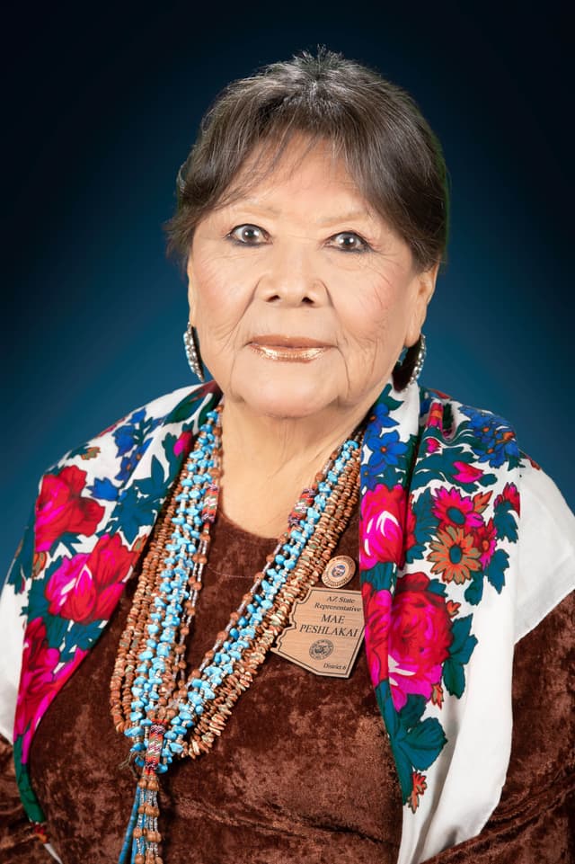 Rep. Mae Peshlakai headshot