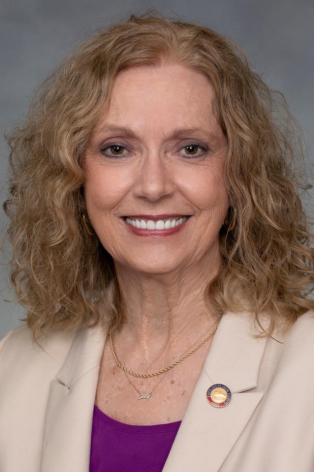 Rep. Cynthia Ball headshot